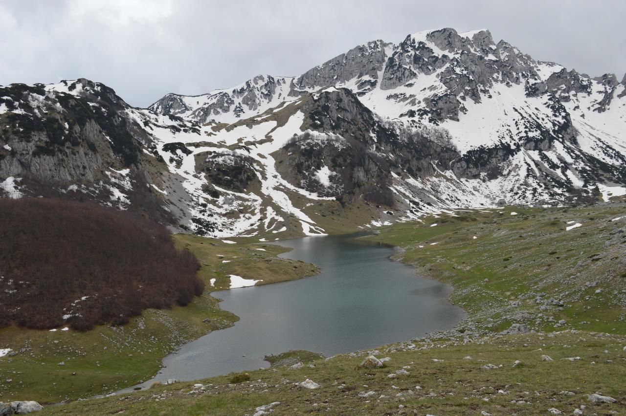 Гостевой дом Apartments & Rooms Vitko Жабляк-47