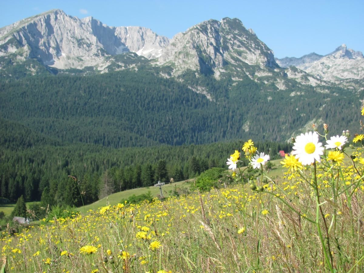 Гостевой дом Apartments & Rooms Vitko Жабляк-48