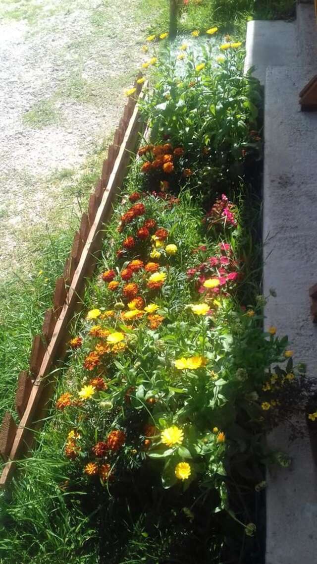 Гостевой дом Apartments & Rooms Vitko Жабляк-14