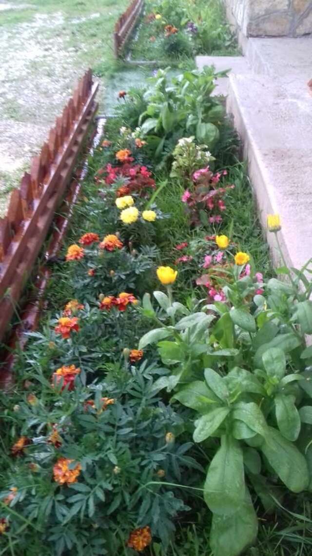 Гостевой дом Apartments & Rooms Vitko Жабляк-15