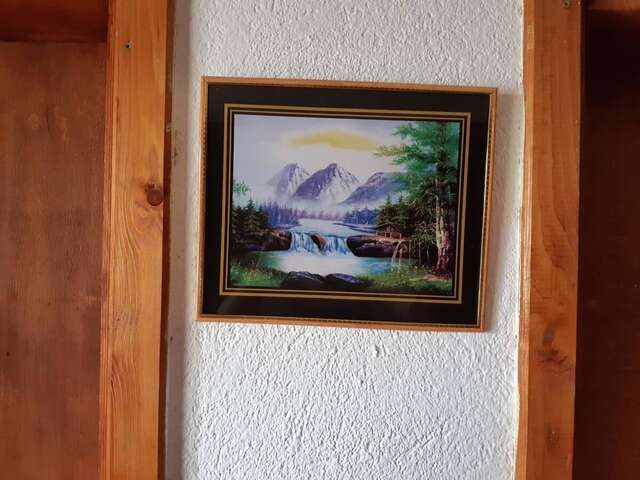 Гостевой дом Apartments & Rooms Vitko Жабляк-4