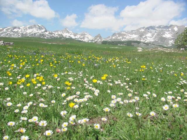 Гостевой дом Apartments & Rooms Vitko Жабляк-43